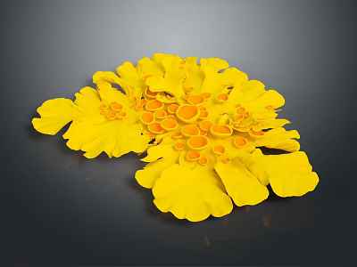 Delicious Yellow Flower Shaped Food With Fresh Decorative Petals And Center 3d model