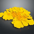 Delicious Yellow Flower Shaped Food With Fresh Decorative Petals And Center
