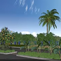 Stunning Tropical Roadside Garden Landscape Design With Lush Palm And Banana Trees And Vibrant Greenery