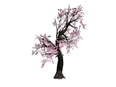 Blooming Arbor with Pink Flowers on Dark Trunk and Graceful Branches 3d model