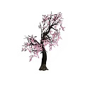 Blooming Arbor with Pink Flowers on Dark Trunk and Graceful Branches