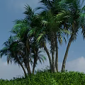 Tropical Island With Palm Trees Greenery Sandy Beach And Blue Water