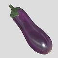 Fresh Purple Eggplant With Shiny Skin And Green Stem For Healthy Diet Options
