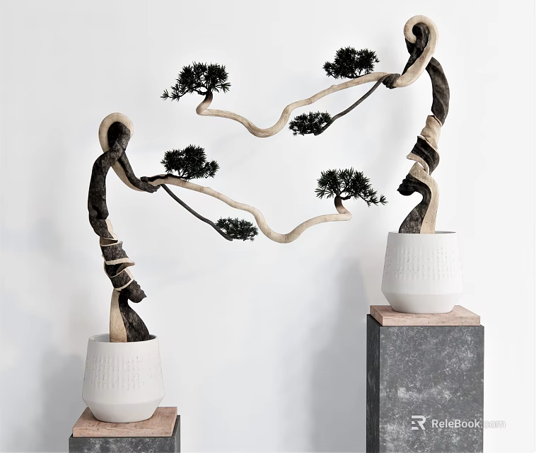 Bonsai Plants With Curved Branches Pine Like Leaves In White Pots On Different Bases 3d model 