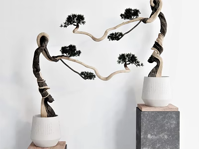 Bonsai Plants With Curved Branches Pine Like Leaves In White Pots On Different Bases 3d model