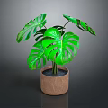 Green Monstera Plant With Large Leaves In Brown Pot On Dark Background