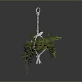 Hanging Potted Plant With Lush Green Leaves In Macramé Rope Hanger