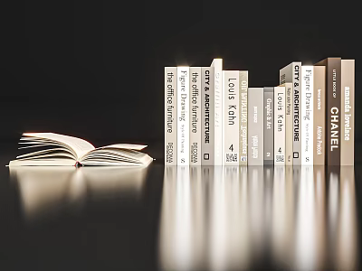 Modern Book Ornaments 3d model