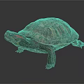 Detailed Close Up of Vibrant Turtle with Patterned Shell and Red Striped Head