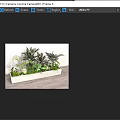Lush Tropical Plant Combination With Diverse Green Foliage In Concrete Planter