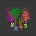 Different Green Plants In Decorative Pots With Small Feet On Reflective Gray Background