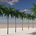 Tall Green Palm Trees Standing On White Sand Beach Under Blue Sky
