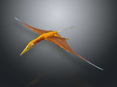 Flying Orange Pterosaur With Long Beak Long Tail And Extended Wings In Prehistoric Sky 3d model