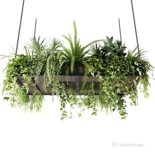 Hanging Decorative Plant Arrangement With Various Green Ferns And Vines For Indoor Decor 3d model 