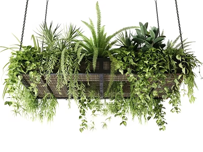 Hanging Decorative Plant Arrangement With Various Green Ferns And Vines For Indoor Decor 3d model