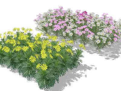 Colorful Garden Flowers With Yellow Pink And White Blooms And Green Leaves 3d model