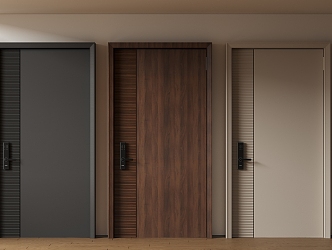 Modern Minimalist Entry Door Anti-theft Door Top Single Door Sub-mother Door Password Door 3d model