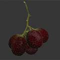 Fresh Ripe Juicy Purple Grapes With Orange Vines On Dark Background