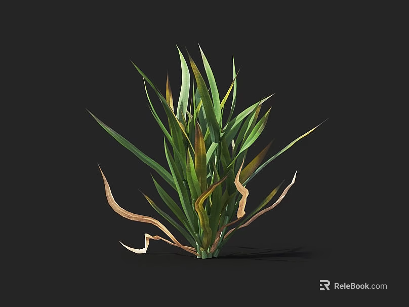 Crop Plant With Green And Yellow Leaves Healthy And Withered Against Dark Background 3d model 