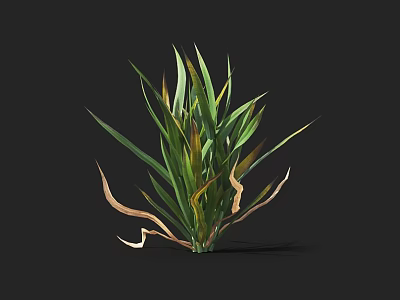 Crop Plant With Green And Yellow Leaves Healthy And Withered Against Dark Background 3d model