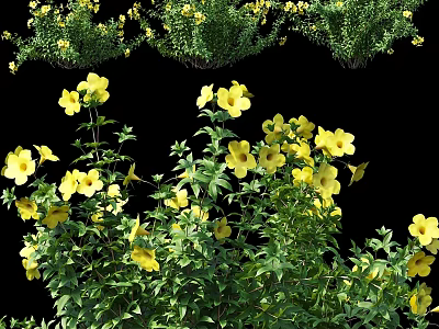 Decorative Ornament Set With Yellow Flowers And Green Leaves For Home Decoration 3d model