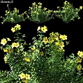 Decorative Ornament Set With Yellow Flowers And Green Leaves For Home Decoration