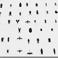 Various Black And White Insect Sketch Illustrations With Different Species Types 3d model