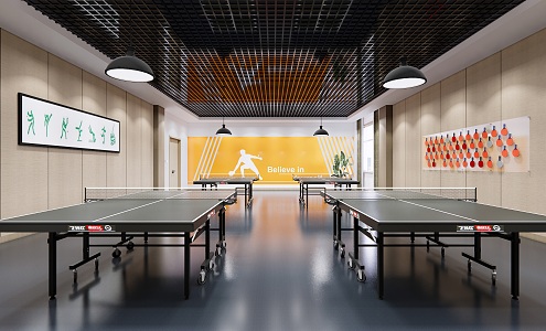 Modern Ping-Pong Activity Room 3d model