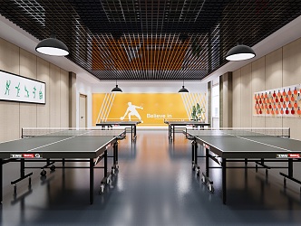 Modern Ping-Pong Activity Room 3d model