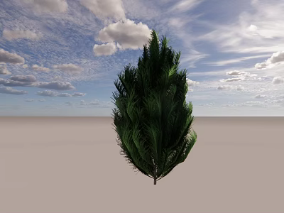 Evergreen Arbor Standing Under Blue Sky With White Clouds On Open Ground 3d model