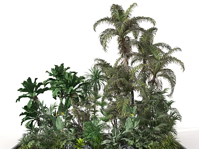 Lush Tropical Green Plants With Palm Trees Ferns And Foliage In Indoor Garden 3d model