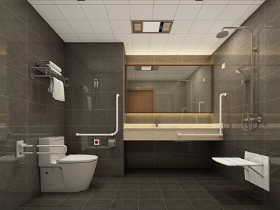 Public Restroom Interior With Gray Tiles Accessibility Handrails Mirror And Sink Counter 3d model