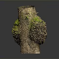 Natural Wooden Vase With Moss Covered Surface And Tree Bark Texture Design 3d model