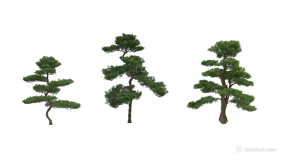 Three Decorative Arbor Specimens With Unique Branch Shapes And Green Foliage 3d model 
