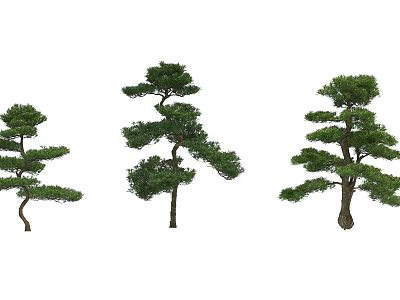 Three Decorative Arbor Specimens With Unique Branch Shapes And Green Foliage 3d model