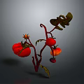 Ripe Red Tomatoes on Green Stem with Fresh Leaves and Juicy Texture