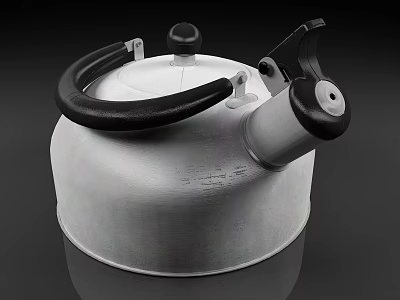 Silver Stainless Steel Kettle With Black Handle And Modern Boiling Design 3d model