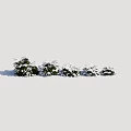 Natural Snow Covered Shrubs In Winter Outdoor Landscape With White Snow