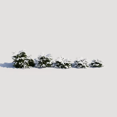Natural Snow Covered Shrubs In Winter Outdoor Landscape With White Snow 3d model