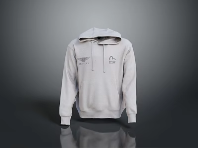 Casual Gray Hooded Long Sleeve Sweatshirt With Front Logo Designs 3d model
