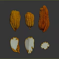 Fresh orange vegetables with white flesh whole and sliced displayed on dark background
