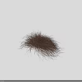Feathery Brown Yellow Grass Leaves In White Container With Dark Background Height Scale