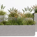 Modern Rectangular Gray Planters With Lush Herbaceous Potted Plants 3d model