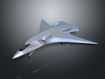 Futuristic Silver Aircraft With Streamlined Design Sharp Nose Metallic Finish Smooth Surface And Landing Wheels 3d model