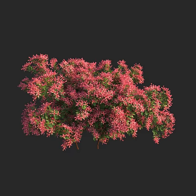Modern Big Flower Six-wood Big Flower Glutinous Rice Strip Shrub 3d model