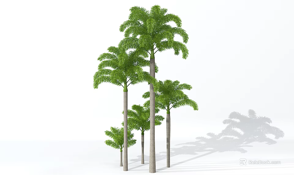 Group of Tropical Palm Trees With Tall Trunks And Green Fronds Casting Shadows 3d model 