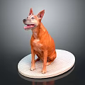 Adorable Orange Dog With Pointed Ears Sitting On White Oval Platform With Gray Background
