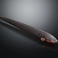 Elongated Black Deep Sea Animal With Spots And Glowing Red Head Feature