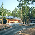 Detached Villa in Pine Forest with Solar Panels Winding Driveway and Garage