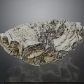 Detailed Human Organ Structure With Soft Hair Like Fibers And Textured Surface